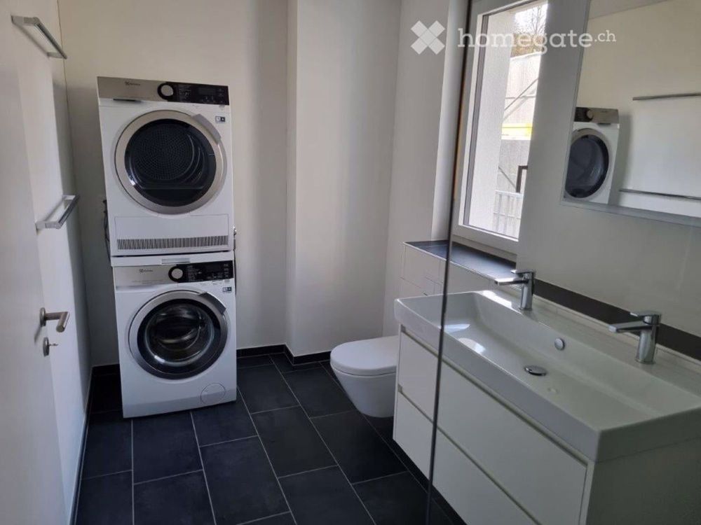 2.5 Zimmer Attikawohnung - Bild 8