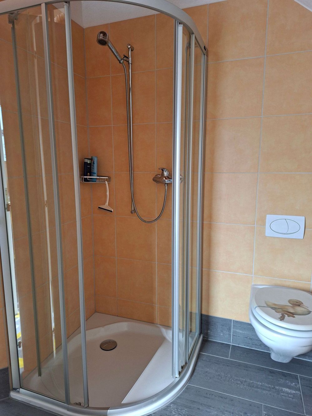 Dachwohnung in Bösingen - Bild 10