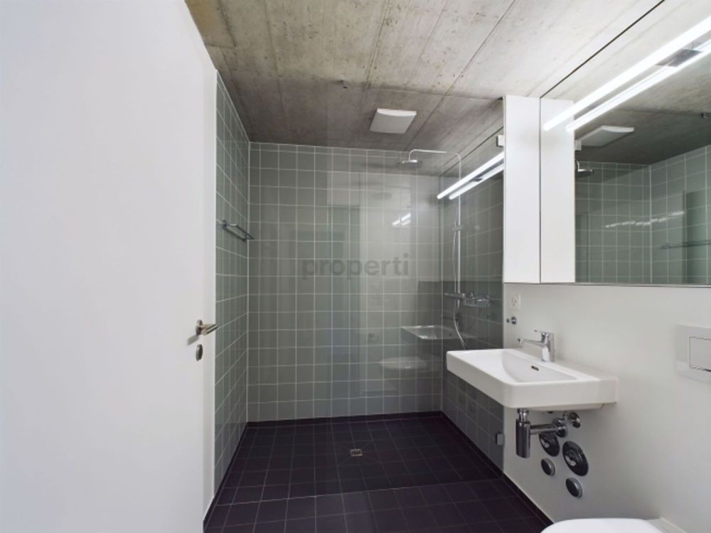 Exklusive 3.5-Zimmer Attikawohnung in Therwil - Bild 8