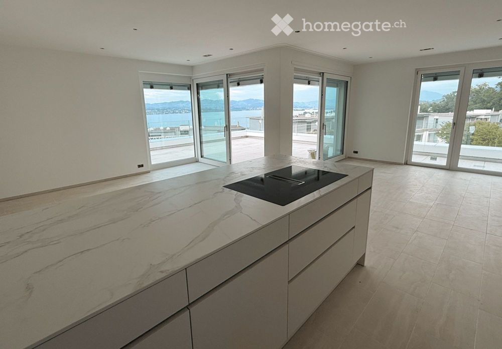 Vollklimatisierte 4.5-Zi.NEUBAU-Attika: Smart-Home, KWL, exkl. Küche & Bäder, spektakuläre Seesicht - Bild 8