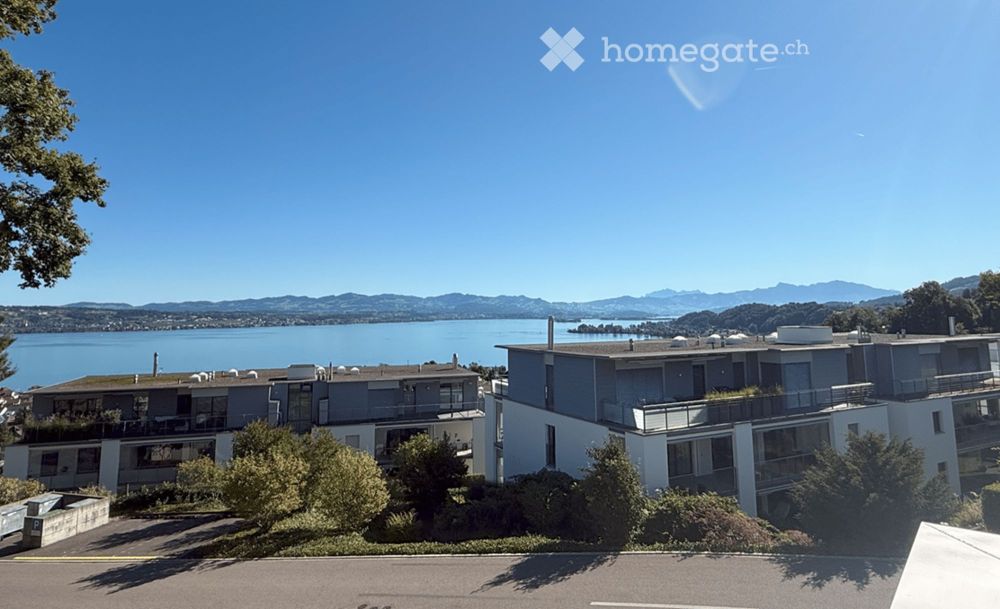 Vollklimatisierte 4.5-Zi.NEUBAU-Attika: Smart-Home, KWL, exkl. Küche & Bäder, spektakuläre Seesicht - Bild 6