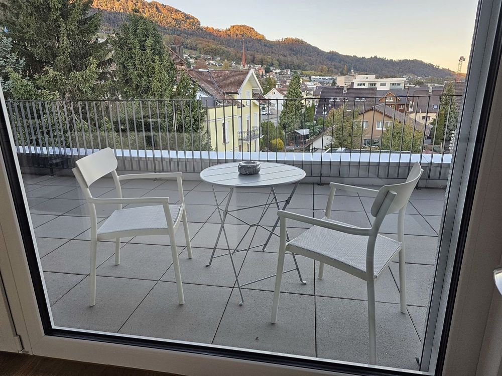 Moderne 3.5-Zimmer-Dachwohnung mit Bergblick in Rebstein - Bild 3