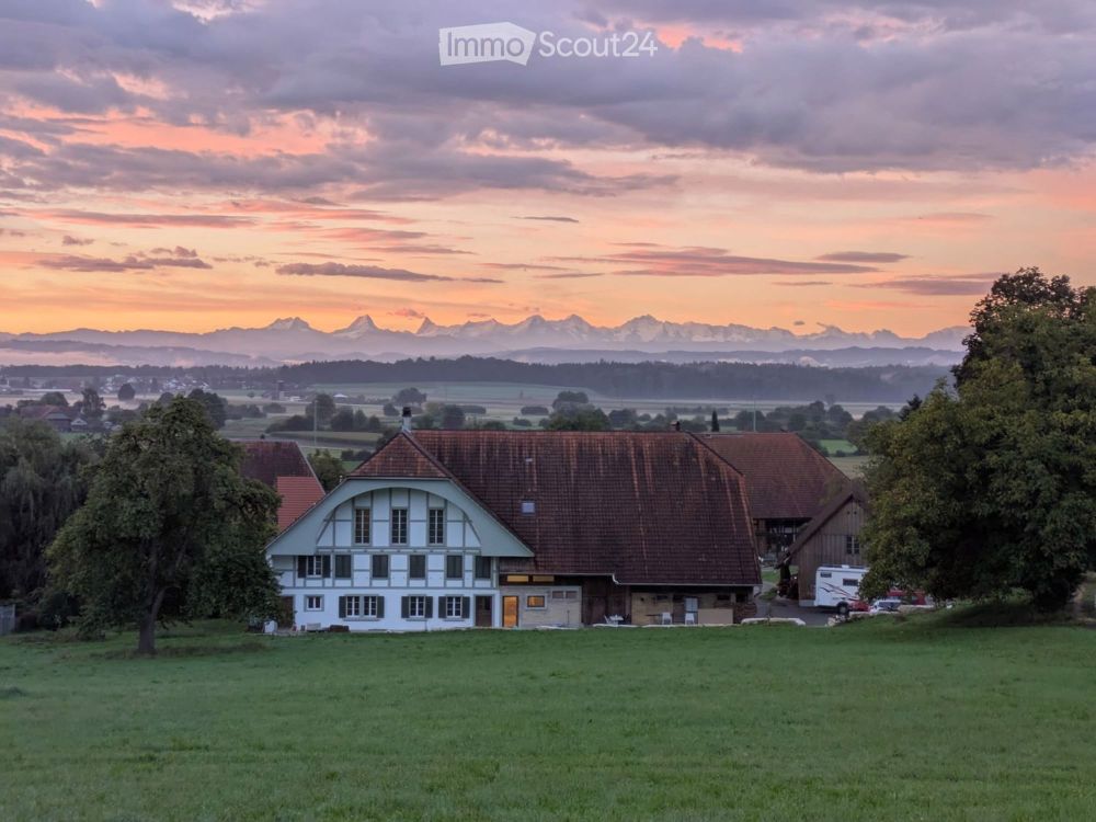 Moderne 4.5-Zimmer-Neubau-Wohnung mit Bergblick in Buchegg ab sofort oder n. Vereinbarung - Bild 1