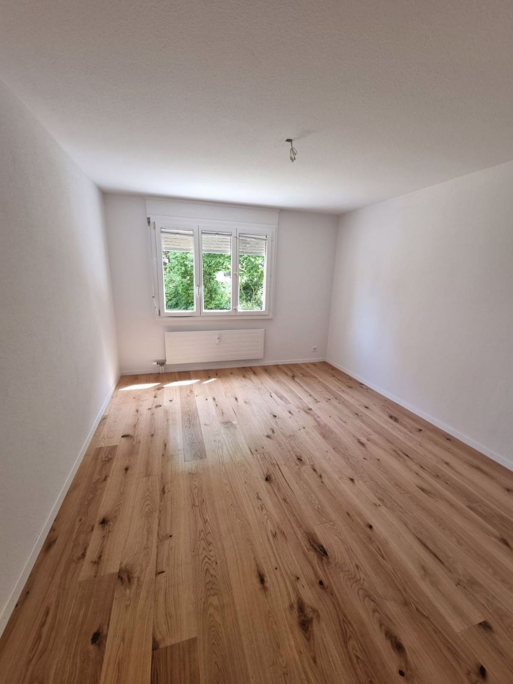 Frisch renovierte 4.5-Zimmerwohnung mit Balkon und hochwertiger Ausstattung - Bild 4