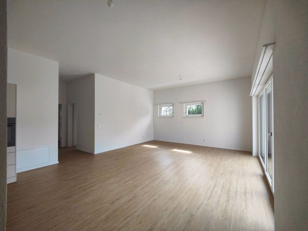 Stilvolle Neubauwohnung mit Gartensitzplatz im Herzen von Glattfelden - Eingang-Wohnzimmer