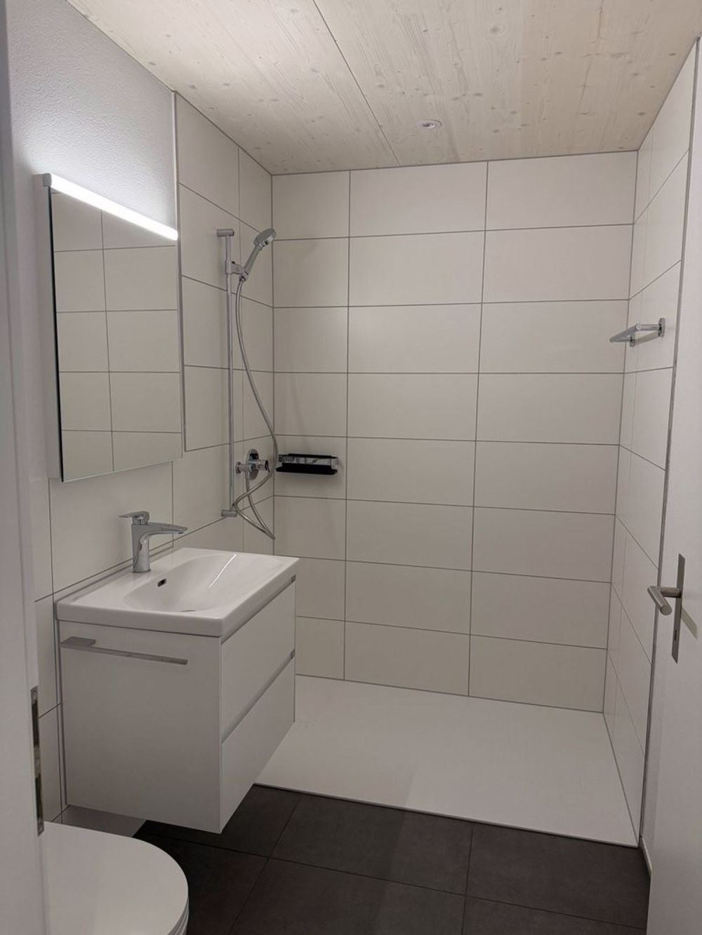 ERSTVERMIETUNG - Willkommen im sonnigen Röschenz - Dusche/WC