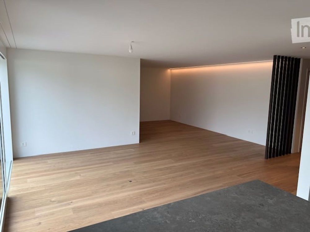 Erstbezug in bester Lage – Exklusive 4.5-Zimmer-Wohnung - Bild 10