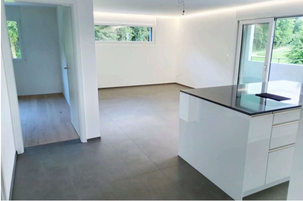 moderne 3.5 Zimmerwohnung - Küche + Wohnzimmer111