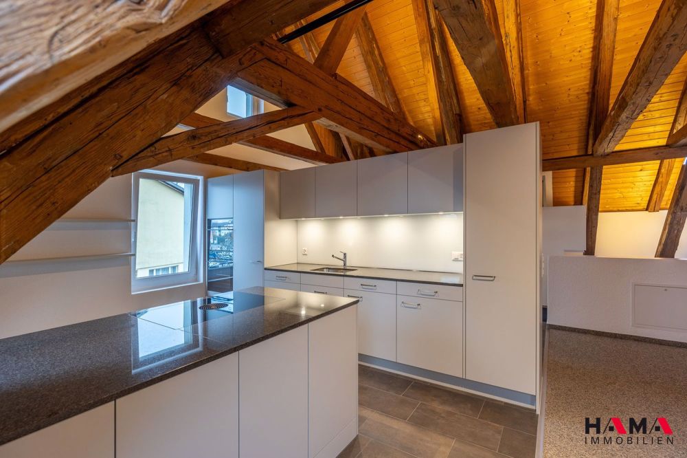 ERSTVERMIETUNG 5.5-Zimmer-Loft-Wohnung in Oftringen - Bild 1