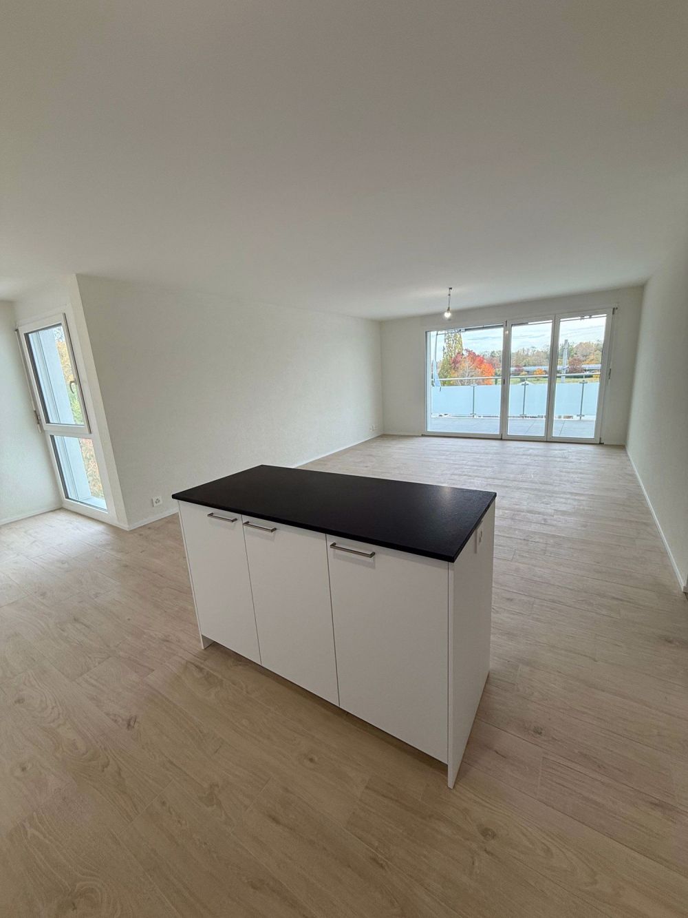 Neubau! Prächtige 4,5-Zimmer-Wohnungen mit Terrasse in Milvignes - Bild 2