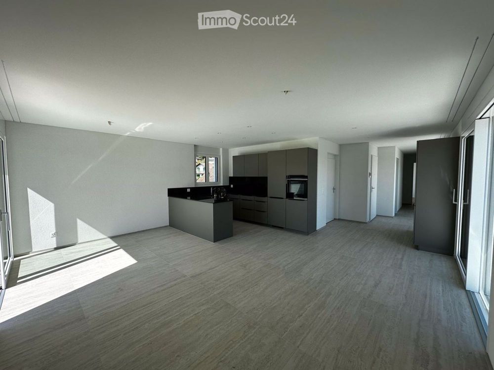 Moderne 4.5-Zimmer-Attikawohnung - Neubau 2025 (Erstbezug) - Bild 6