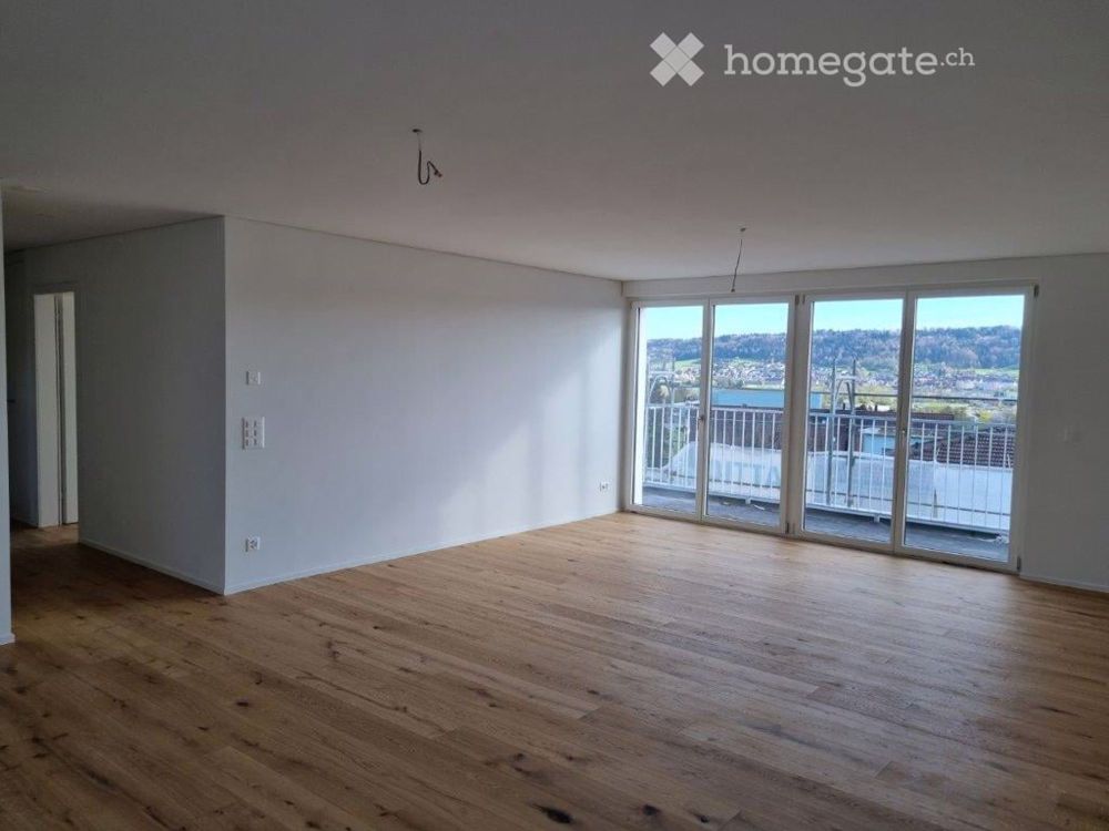 2.5 Zimmer Attikawohnung - Bild 1