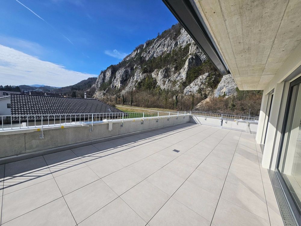 3.5 Zi Attika Wohnung mit unverbaubarer Aussicht - Bild 4
