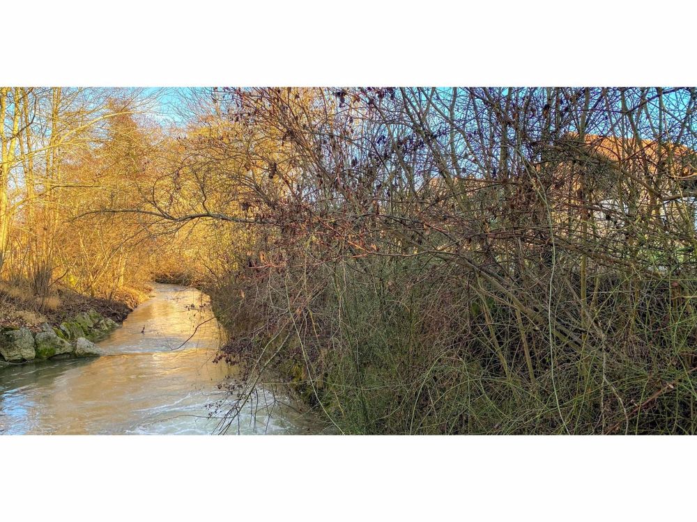 Naturnahes Wohnen am Wildbach - Bild 9