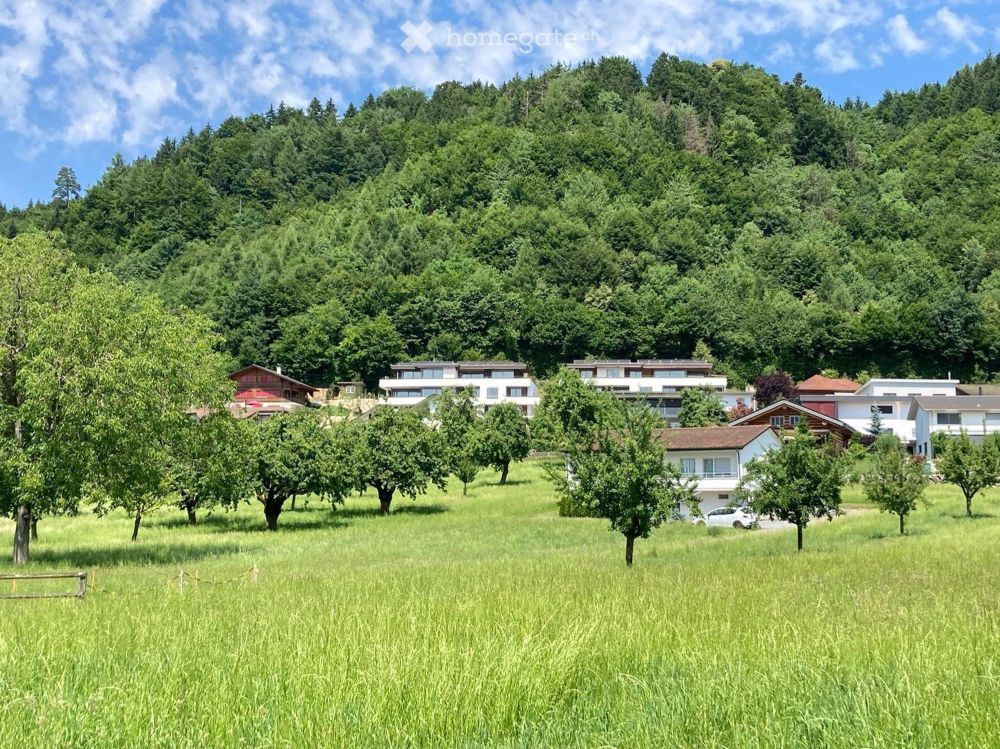 Traumhafte Neubauwohnung mit schönstem Ausblick in die Alpen und den Jura - Bild 2