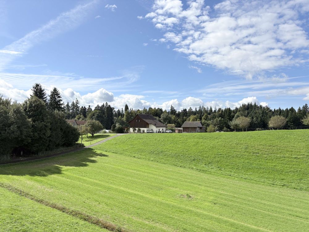 tolle 5.5-Zimmer-Maisonette-Wohnung - Aussicht OG