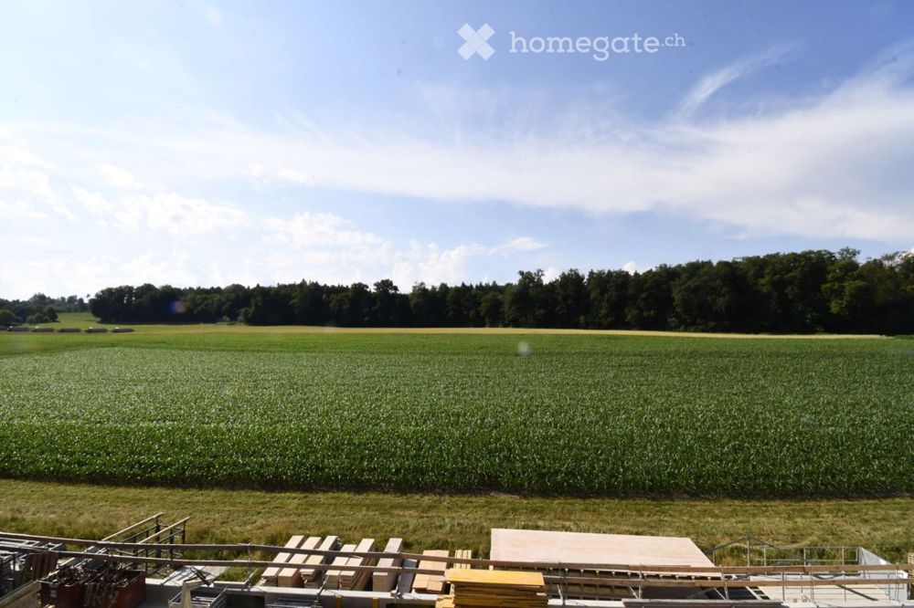 Natur trifft auf Eleganz - Willkommen bei den neuen Mietwohnungen - _DSC7203