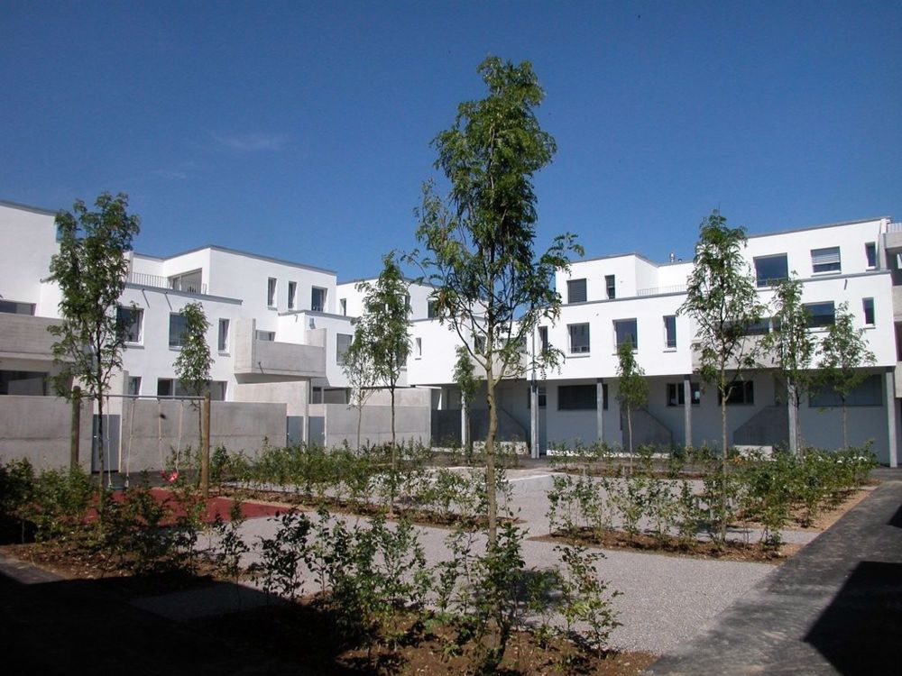 3 ½ Zimmer-Wohnung in Bremgarten b. Bern mieten - Bild 1