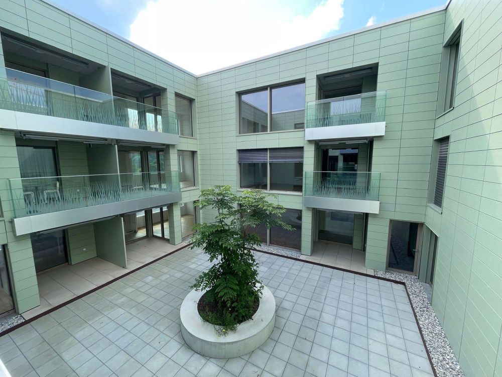 Joli appartement neuf 1,5 p avec balcon | dreamo.ch - Bild 4