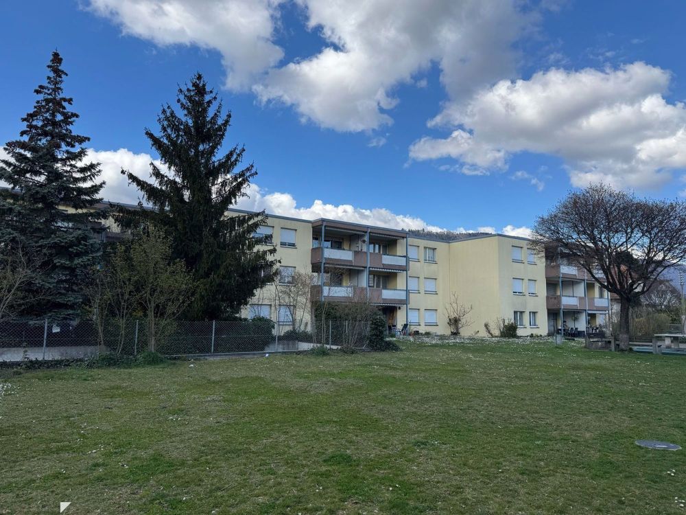 Geräumige 4.5-Zimmerwohnung mit brandneuer Küche - Bild 2