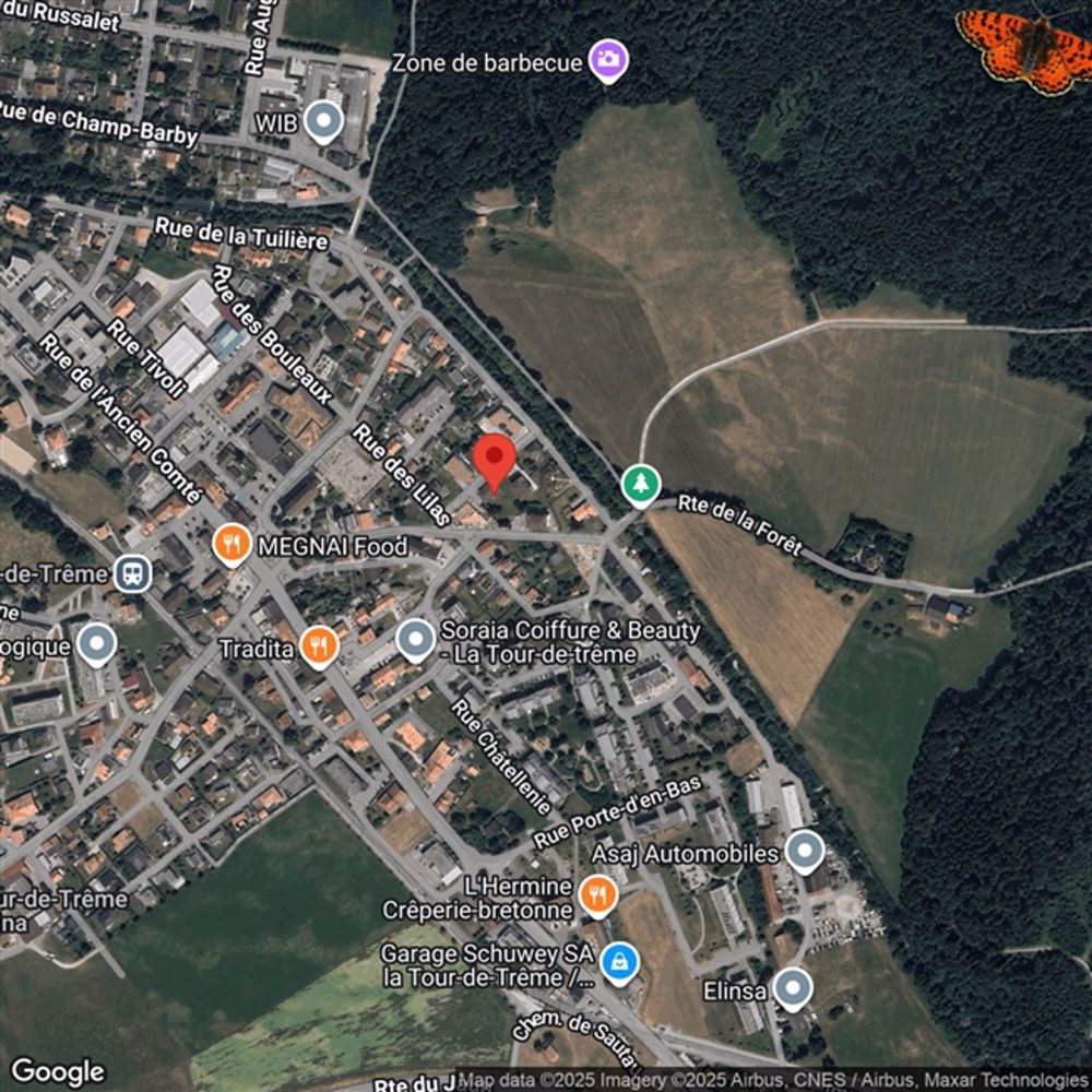 SELTEN! HERRLICHE 4 1/2 ZIMMER IM ERDGESCHOSS - Großer Garten & Terrasse! - Bild 1