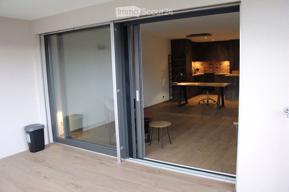 Exklusive 2.5-Ziwohnung mit sep. Hobbyraum, modern, zentral - Bild 1