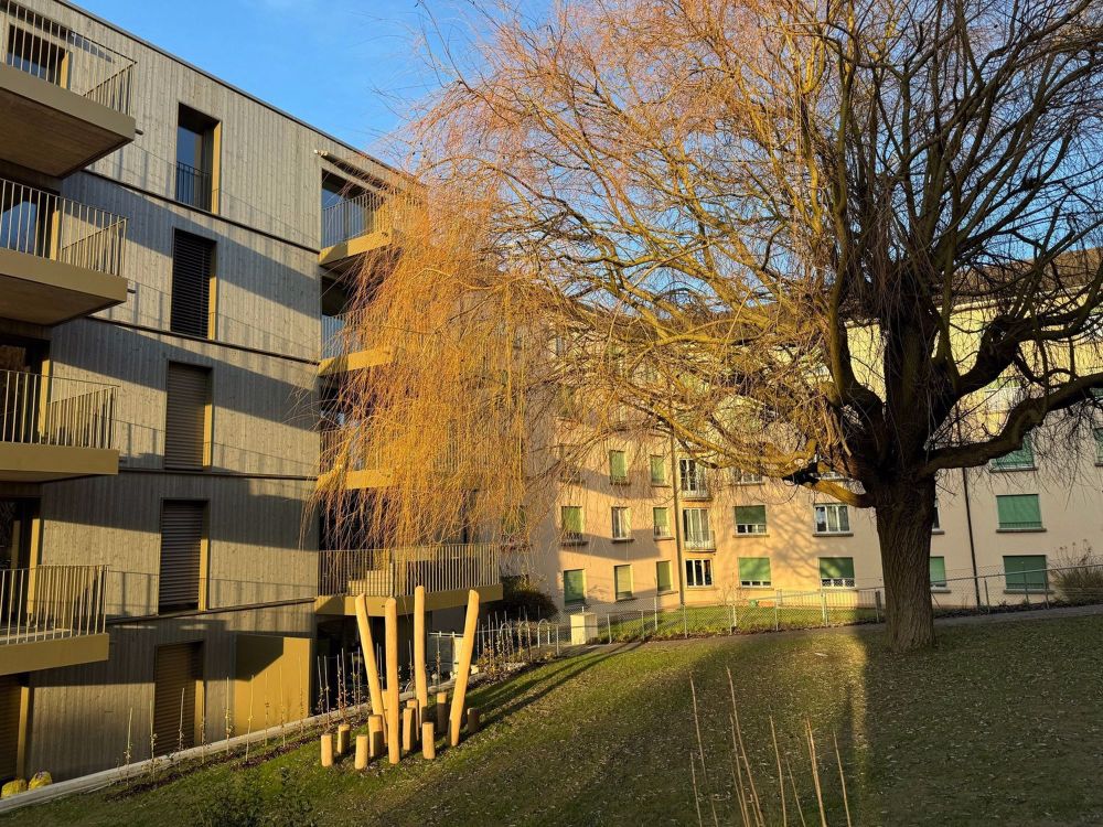 Superbe et spacieux appartement neuf de 3,5 pièces disponible de suite - Bild 6