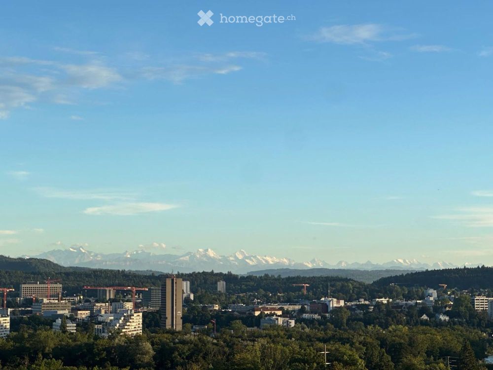 Wohnen am sonnigen Südhang – modern, ruhig, aussichtsreich - Bild 13