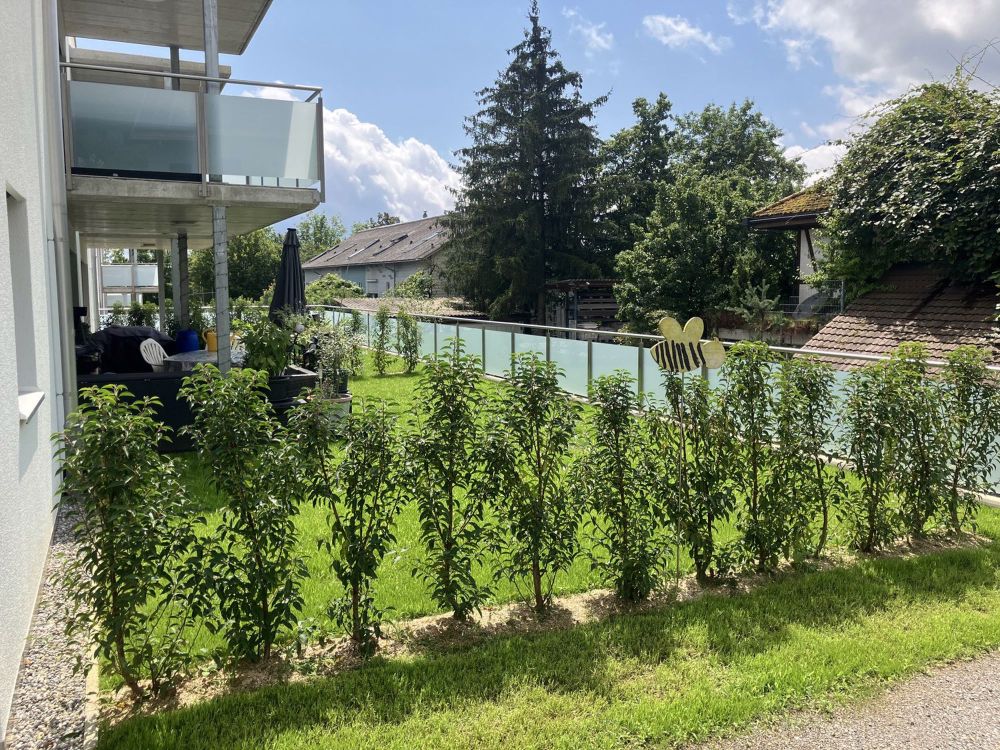 4 1/2 ZI-WOHNUNG in MFH mit 6 WHG - Bild 5