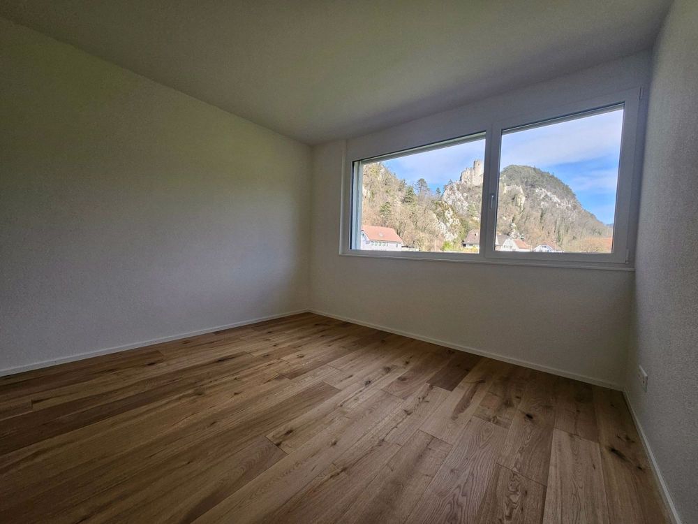 3.5 Zi Attika Wohnung mit unverbaubarer Aussicht - Bild 10