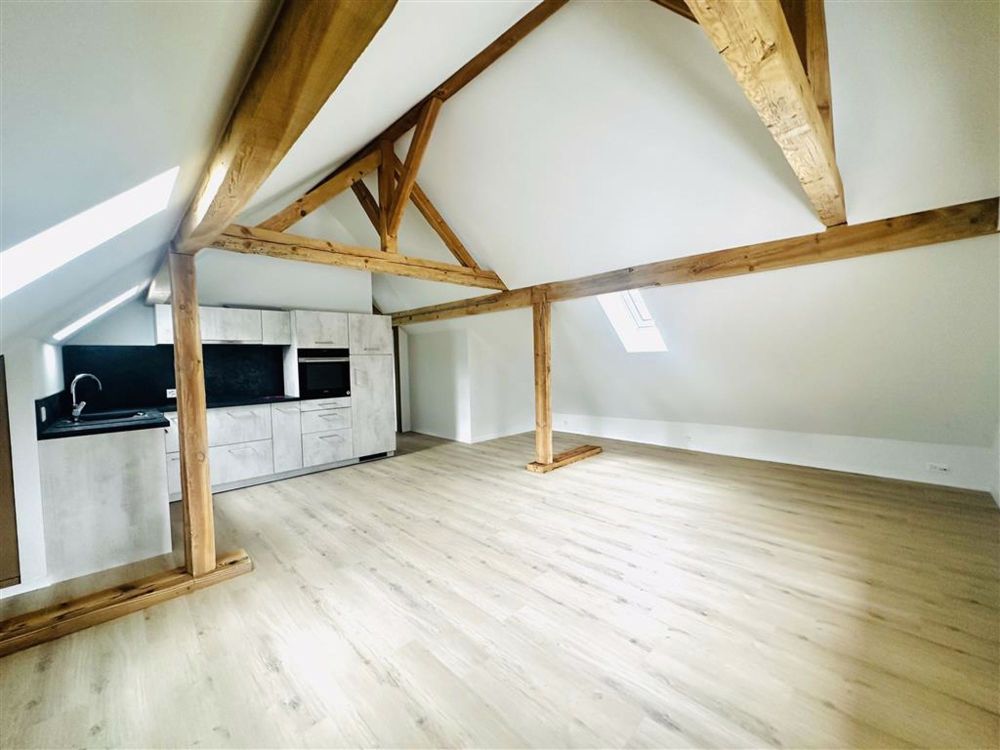 Loft,1.5,50 - Pièce principale 1