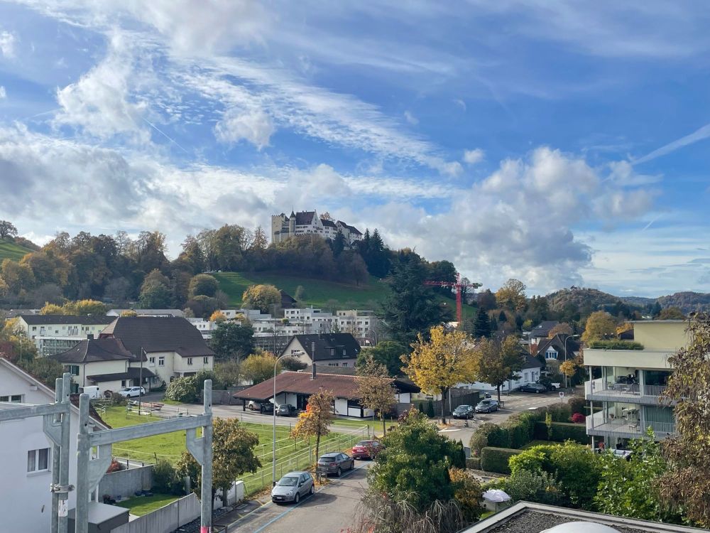 Ihr neues Zuhause mit Blick auf das Schloss Lenzburg - Bild 2