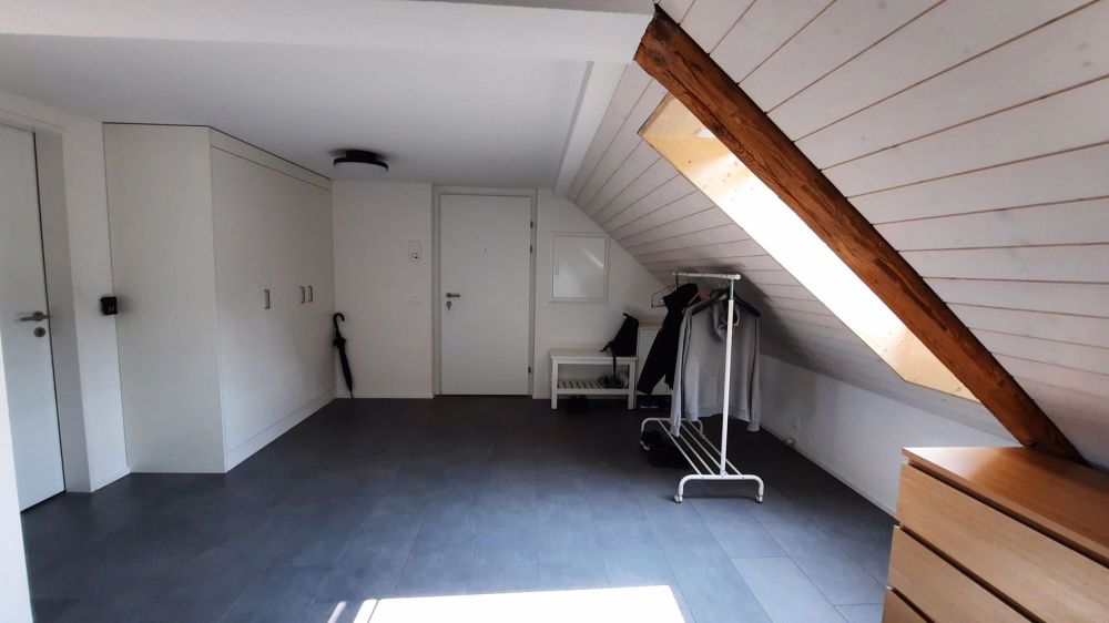 Bright 3.5-room top-floor apartment with covered balcony, vaulted ceilings & panoramic view Langnau am Albis - Entrance