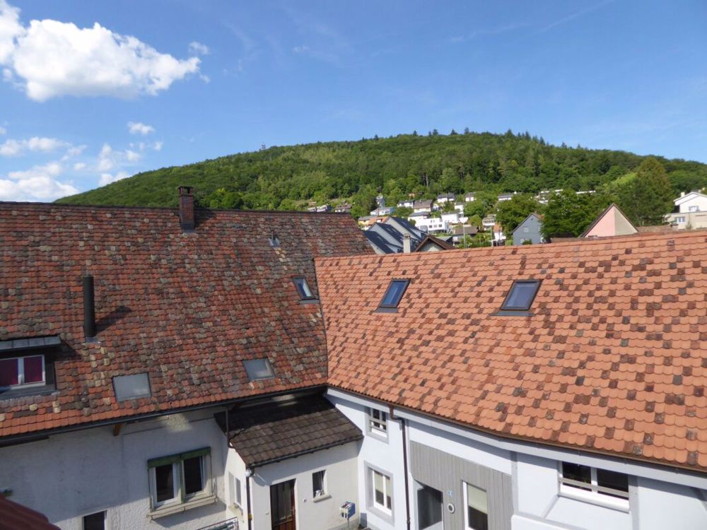 Heimelige Wohnung im Herzen von Beringen - Bild