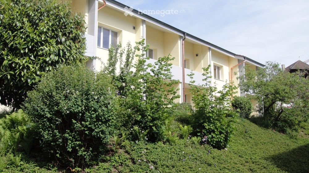 moderne und ruhige 3.5-Zimmer-Gartenwohnung - Bild 2