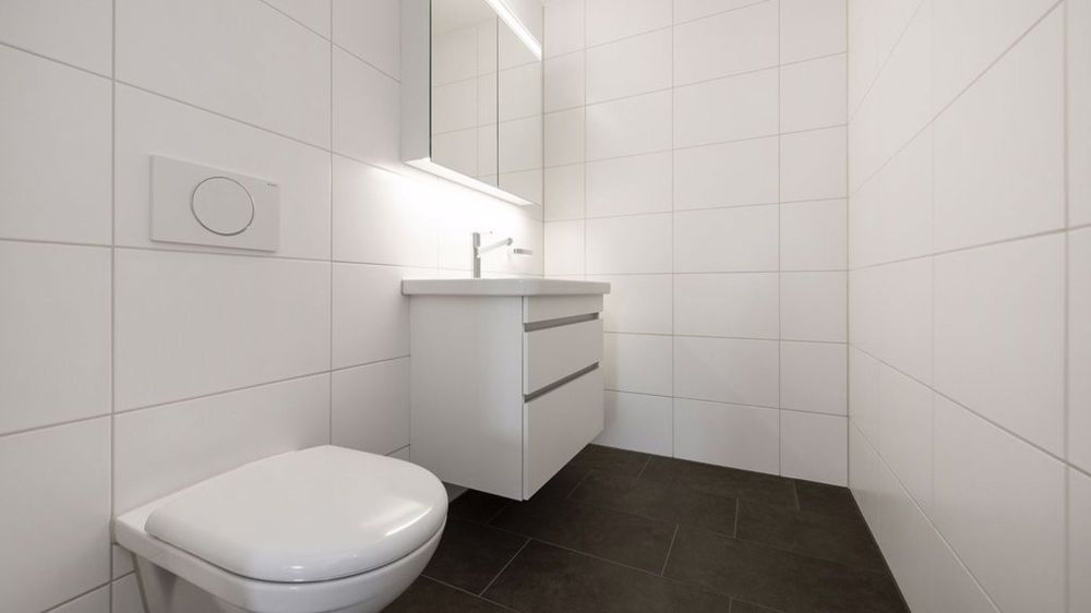 Grosszügige 3.5-Wohnung - Bild 6