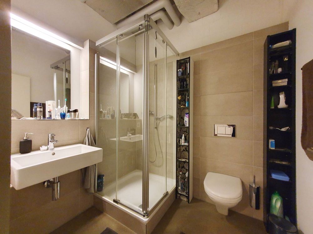 2-Zimmer-Kleinloft in der alten Spinnerei - Bad mit WC/Dusche