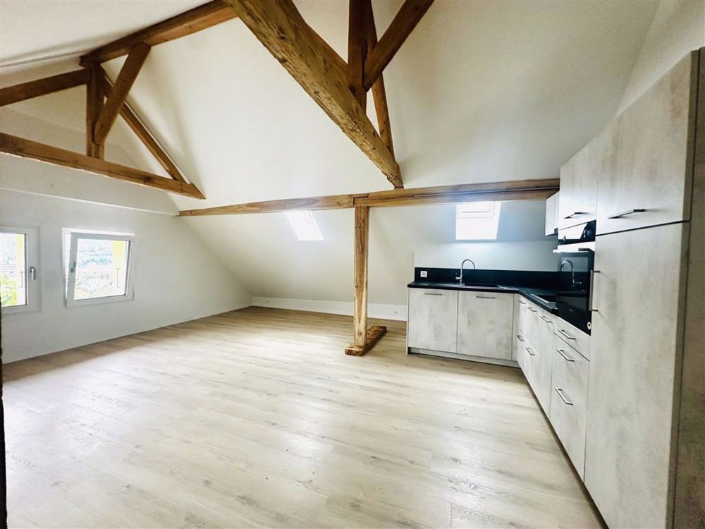 Loft,1.5,50 - Cuisine - Pièce principale
