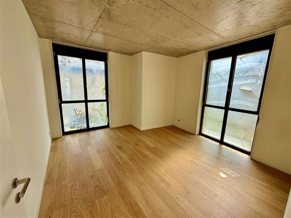 5 Zimmer NEU & DURCH in Carouge - Bild 2