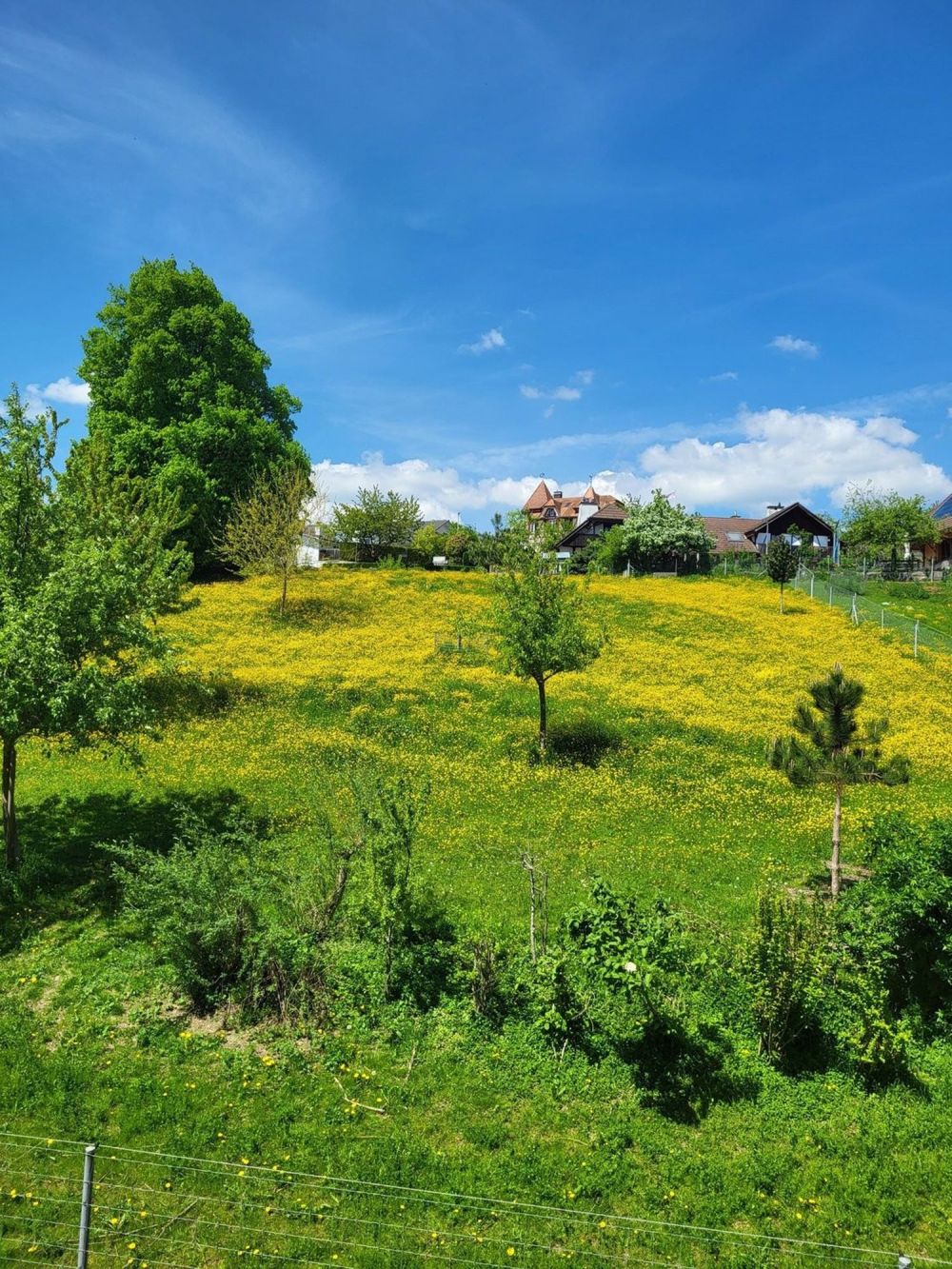 4 ½ Zimmer-Wohnung in Orpund mieten - Bild 1