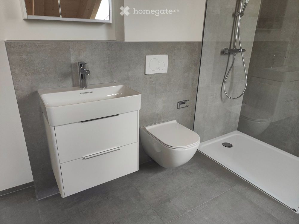 Moderne 2.5-Zimmer-Dachwohnung in Diegten zu vermieten - Bild 5