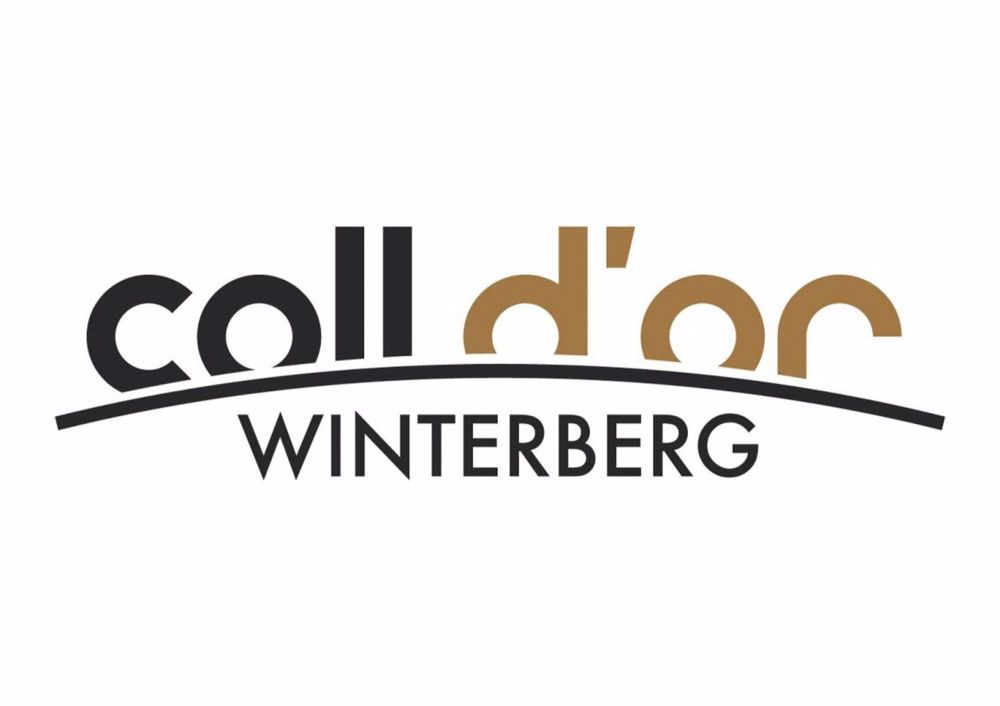 Neubauprojekt "Coll d'Or" - 4 1/2 Zimmer-Wohnung - ColldOr.jpg