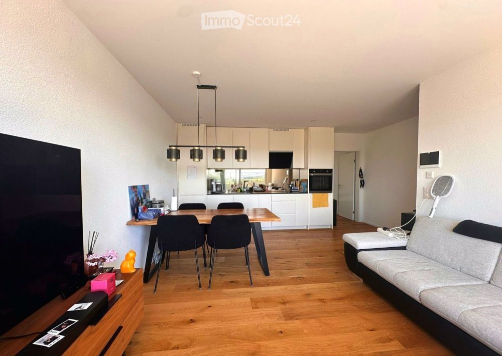 Moderne 3.5-Zimmer Attikawohnung mit grosser Terrasse in Hedingen - Bild 1