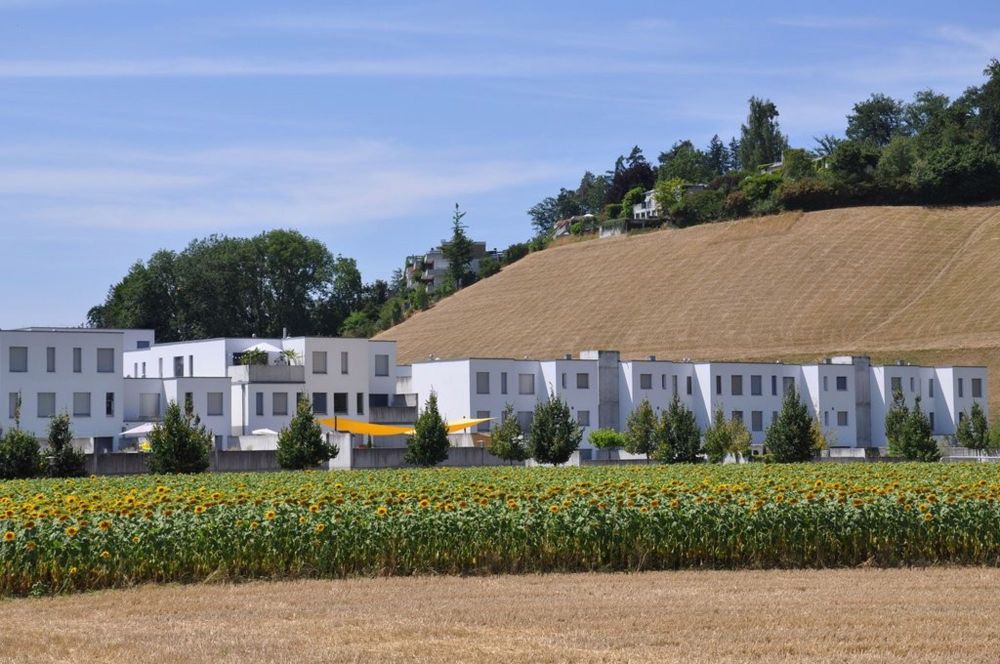 3 ½ Zimmer-Wohnung in Bremgarten b. Bern mieten - Bild 3