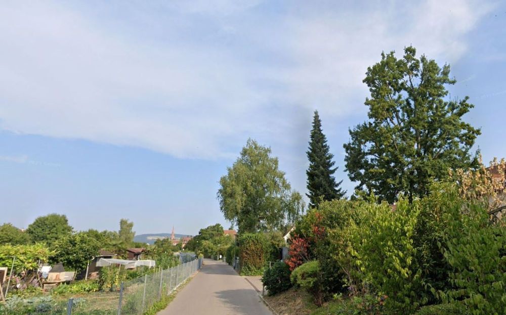 Grosszügige Wohnung im Grünen - Bild 1