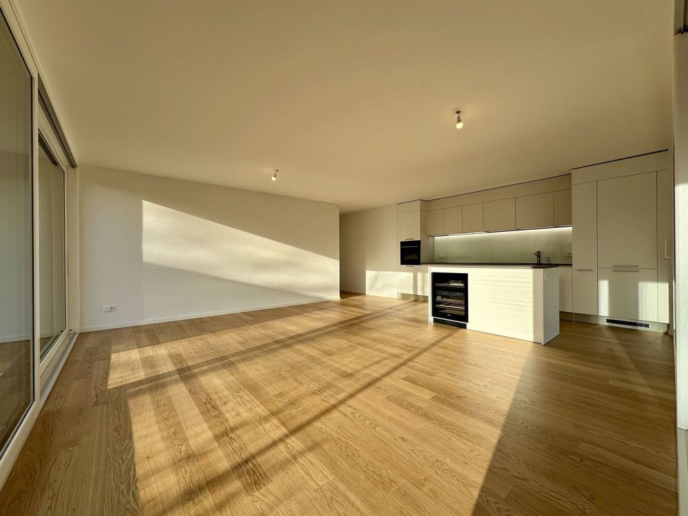 Appartement von hohem Standard, 3,5 Zimmer im Erdgeschoss mit Garten - Séjour et cuisine