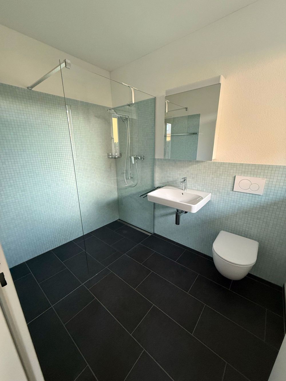 Moderne 4.5-Zimmer-Terrassenwohnung in Rebstein - Neubau 2023 - Bild 5