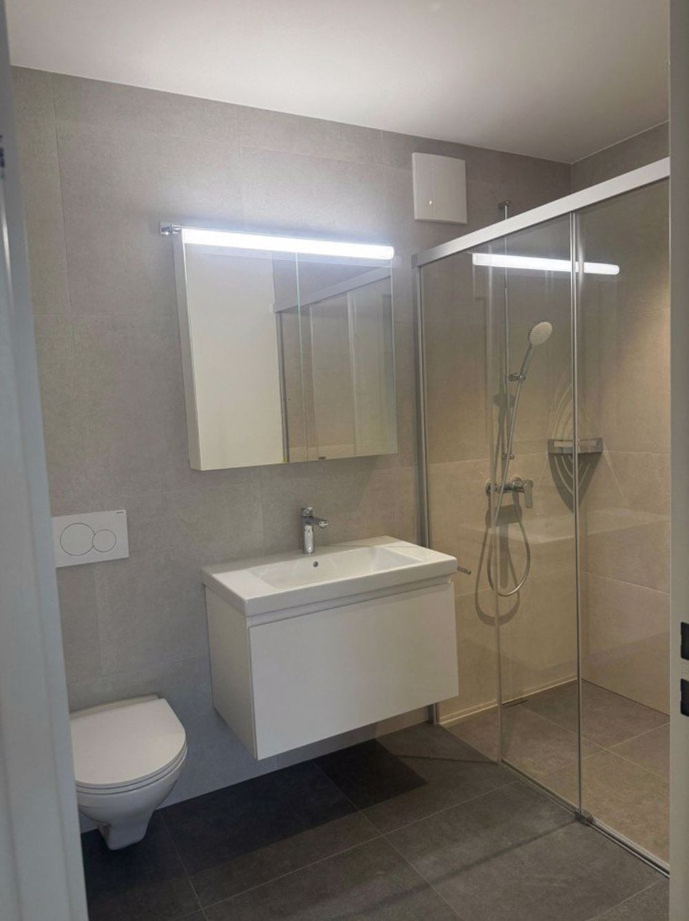 Erstvermietung: Moderne 4.5-Zimmer-Neubauwohnung in Frick - Bild 3