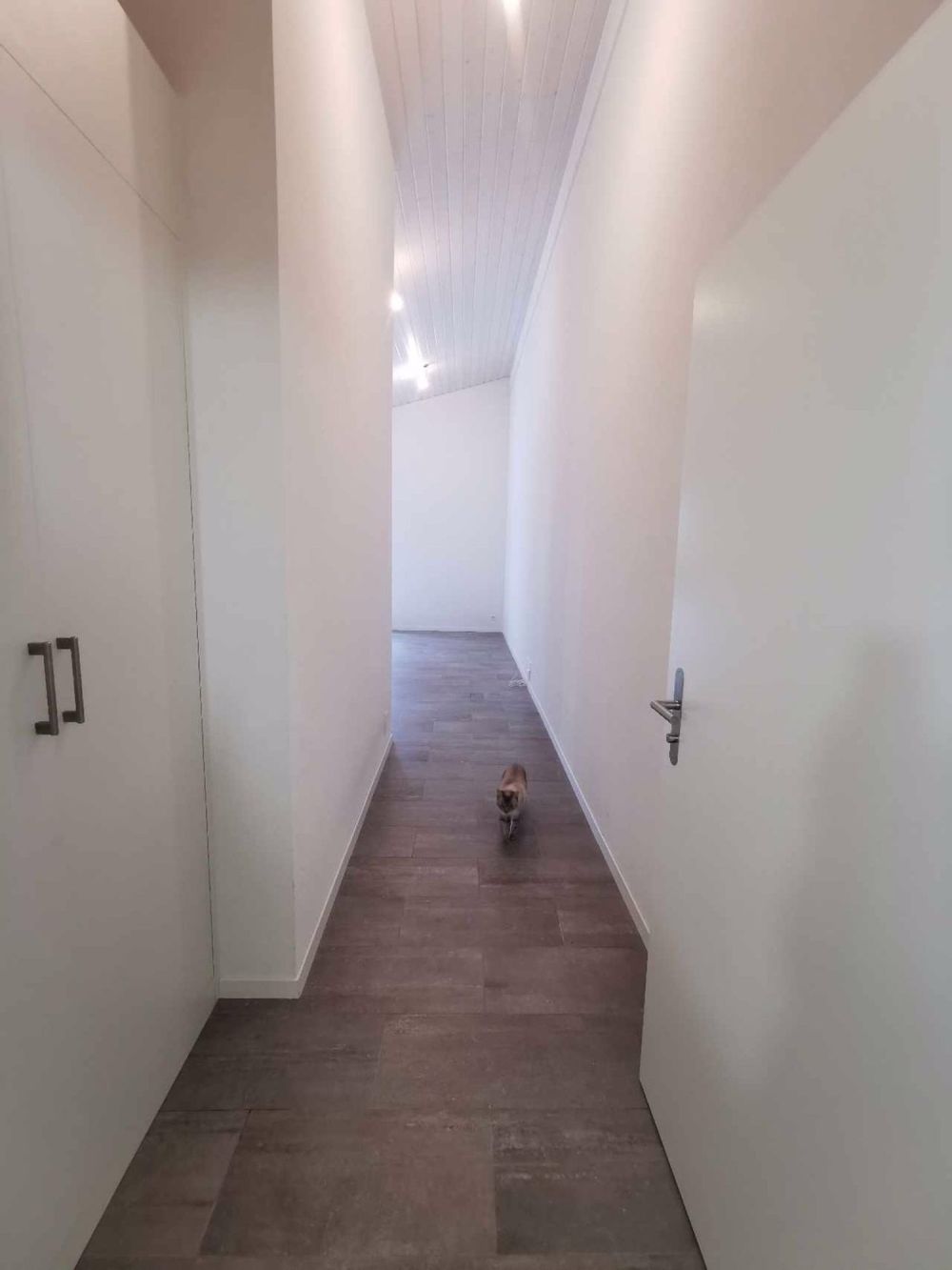 2 ½ Zimmer-Wohnung in Saint Gingolph mieten - Bild 1