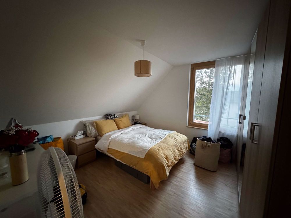 3 ½ Zimmer-Wohnung in allens mieten - Bild 4